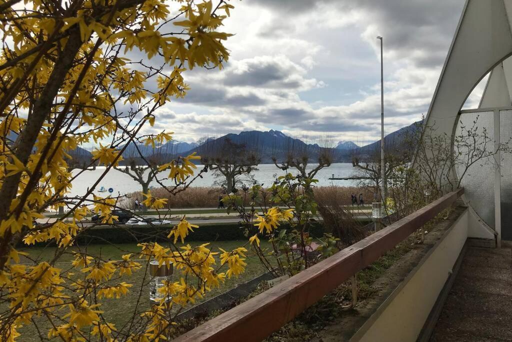 Chez Jacques - Terrasse Avec Vue Lac Et Montagne Annecy Esterno foto